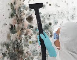 Professional Mold Removal & Remediation in Damascus, MD